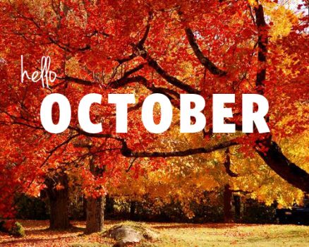 October Newsletter is Now Available!