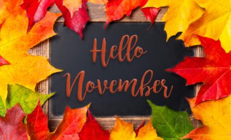 November Newsletter Now Available!