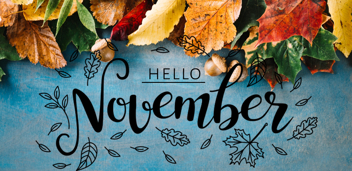 November Newsletter Now Available!